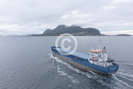 Wilson Dundalk 602