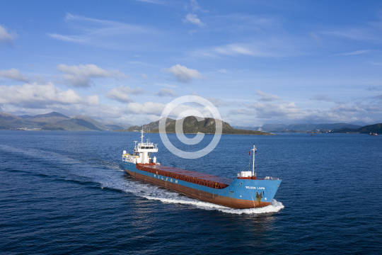 Wilson Lahn 990