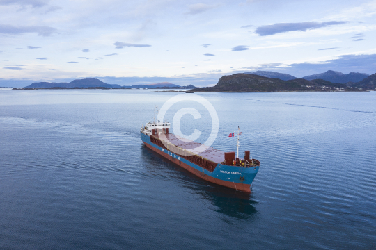 Wilson Onega 684