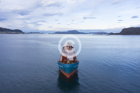 Wilson Onega 686