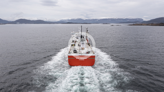 With Frohavet 194